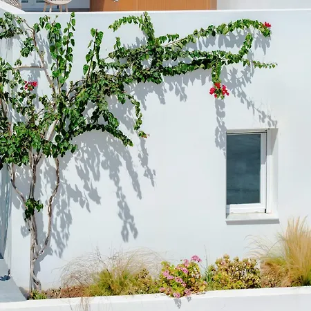 Apartament Eutixia *